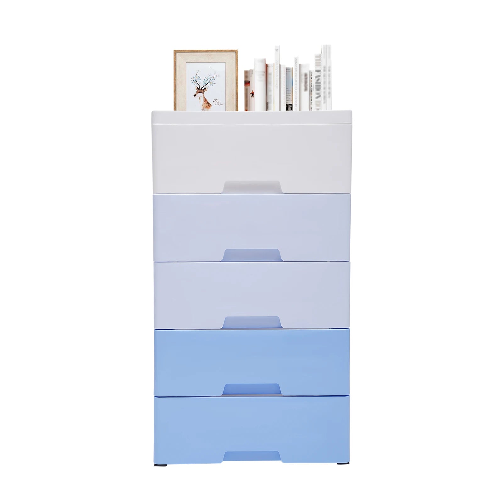 5 Drawers Storage Closet