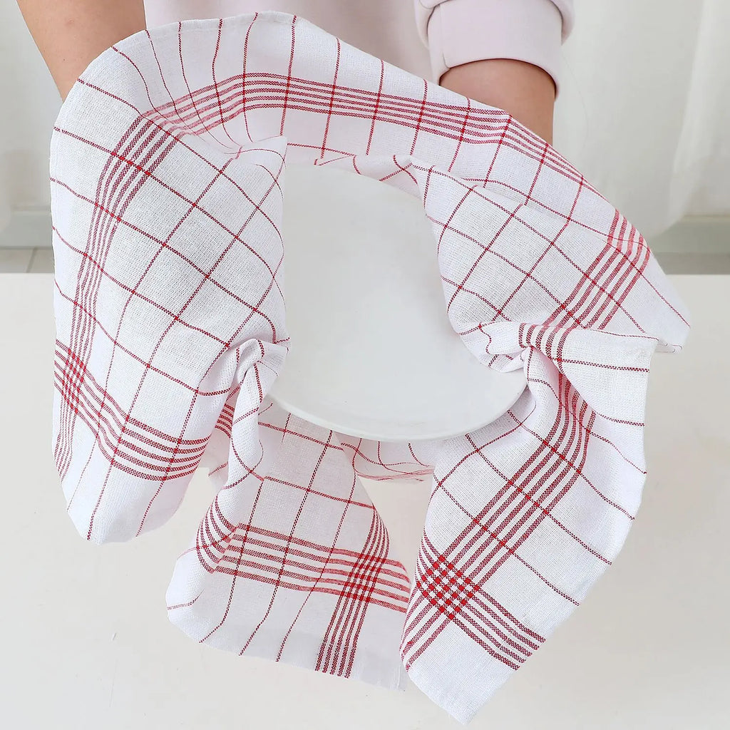 Plaid Dish Towel Scouring Pad