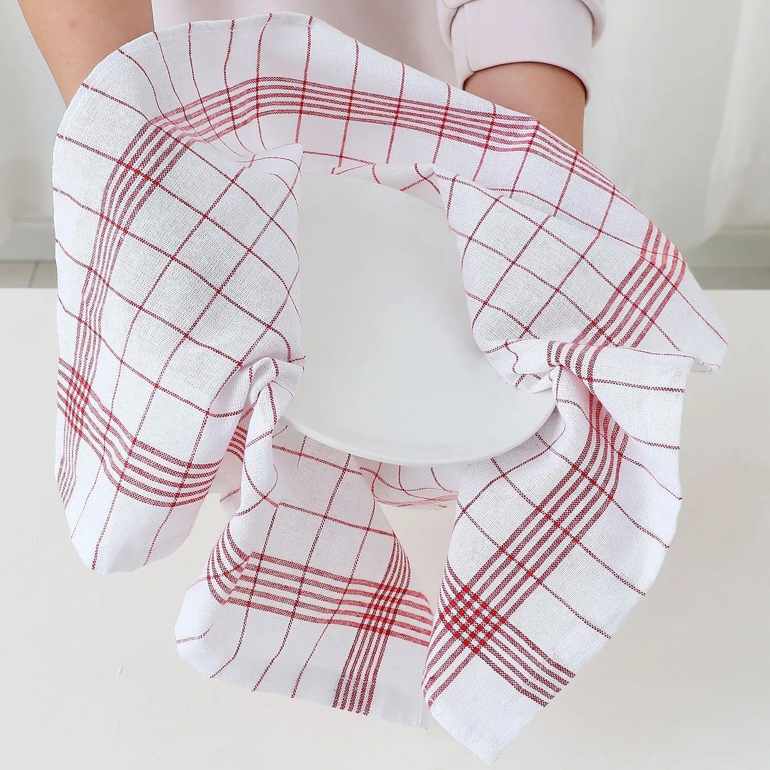 Plaid Dish Towel Scouring Pad