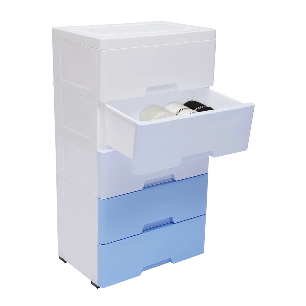 5 Drawers Storage Closet